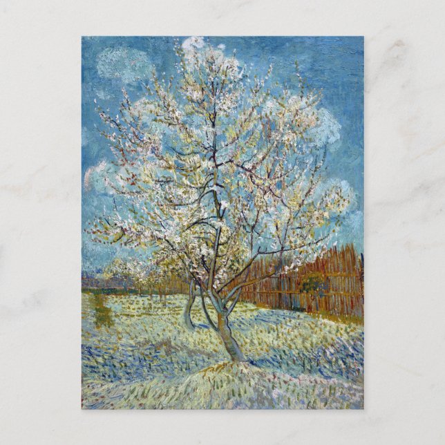Vincent van Gogh Rosa Peach Träd Vykort (Framsida)