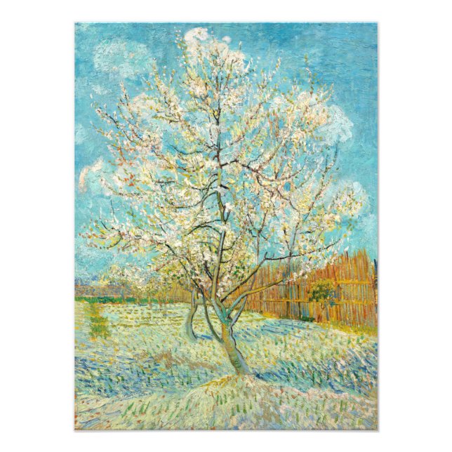 Vincent van Gogh - Rosa Persika Träd i Blomning Fototryck (Framsidan)
