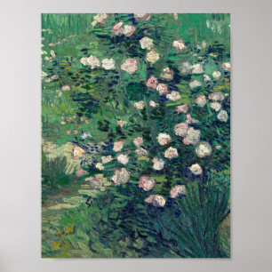 Vincent Van Gogh - Rosebush i Blommar Poster
