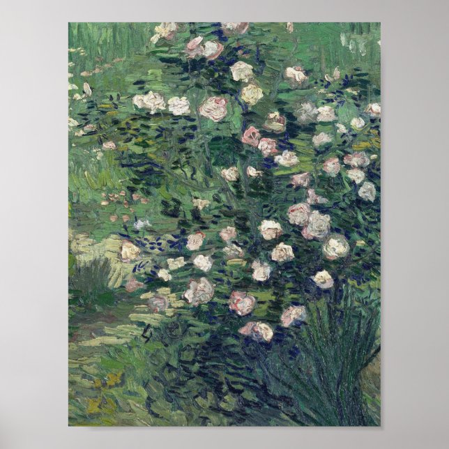 Vincent Van Gogh - Rosebush i Blommar Poster (Framsidan)