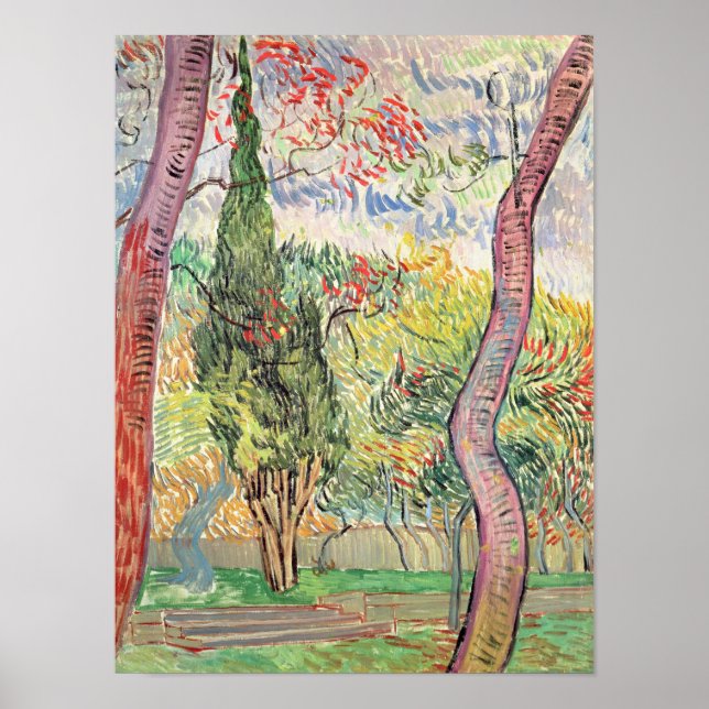 Vincent van Gogh | Sankt Paul-sjukhusets Garden Poster (Framsidan)