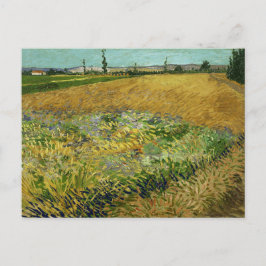 Vincent Van Gogh, Spannmålsfält, Korenveld Vykort