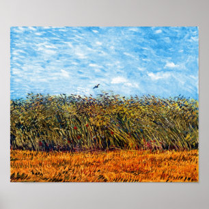 Vincent Van Gogh - Spannmålsfält med lärka Poster