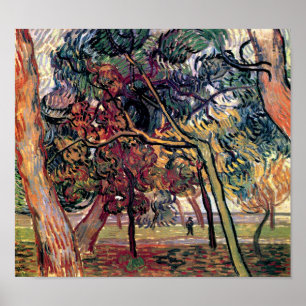 Vincent Van Gogh - Studie av tallar Finkonst Poster