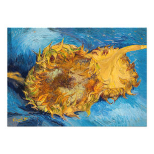 Vincent van Gogh - Två avskurna solrosor Fototryck