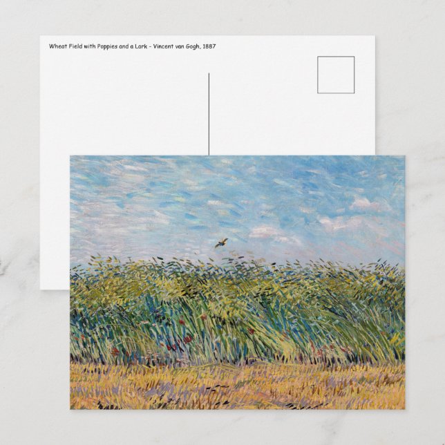 Vincent van Gogh - Vete fält med en lärka Vykort (Fram/baksida)