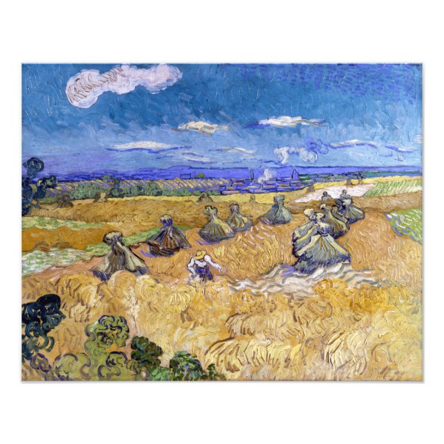 Vincent van Gogh - Vetestaplar med repor Fototryck (Framsidan)