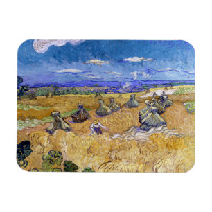Vincent van Gogh - Vetestaplar med repor Magnet