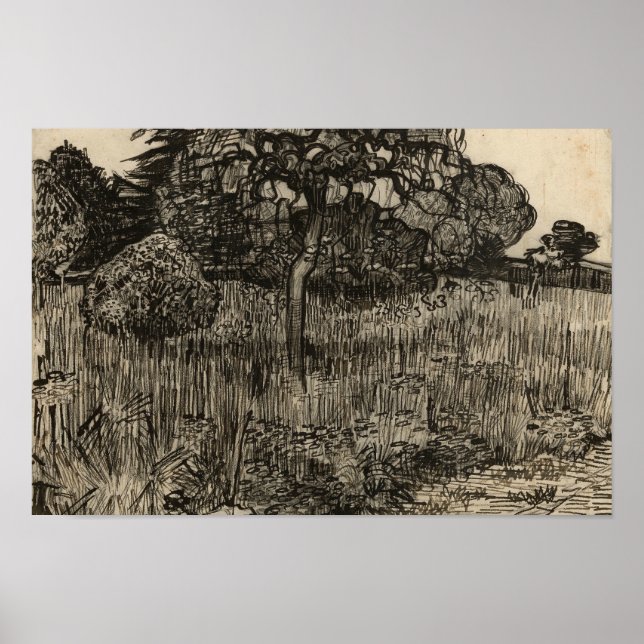 Vincent van Gogh - Weeping Träd Poster (Framsidan)