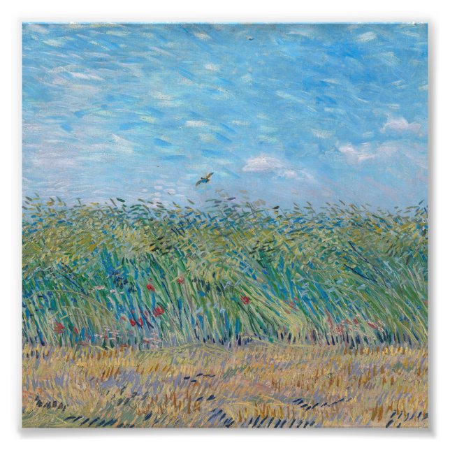 Vincent Van Gogh - Wheat Fält med en Lark Fototryck (Framsidan)