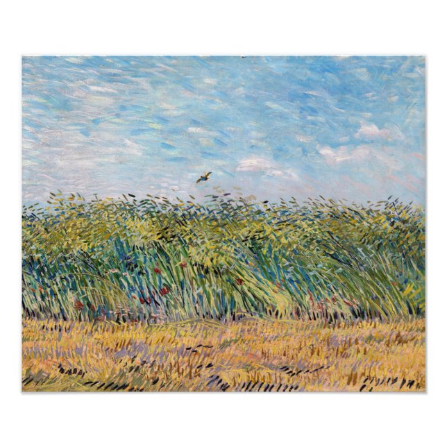 Vincent van Gogh - Wheat Fält med Lark Fototryck (Framsidan)
