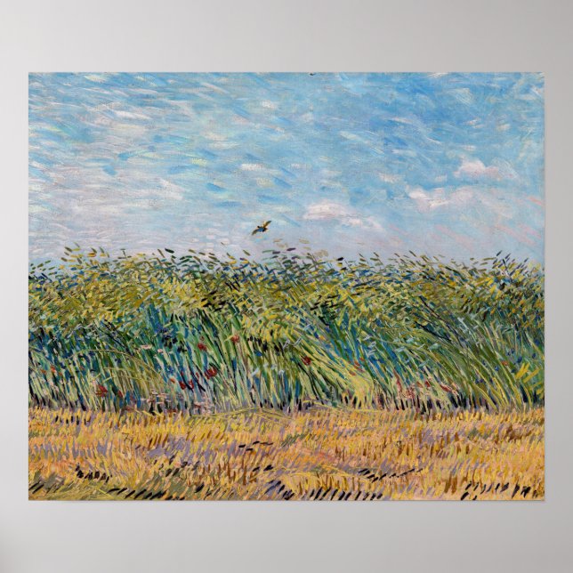 Vincent van Gogh - Wheat Fält med Lark Poster (Framsidan)