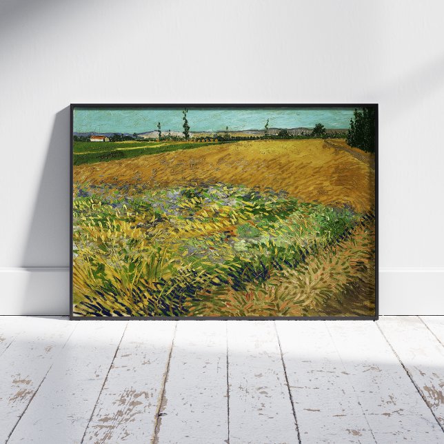 Vincent Van Gogh, Wheatfield, Korenveld Fototryck (Skapare uppladdad)
