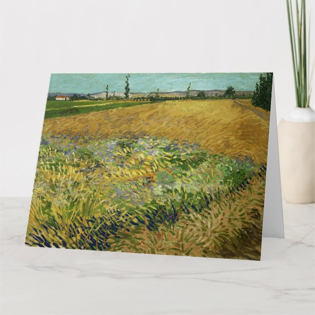 Vincent Van Gogh, Wheatfield, Korenveld Kort (Framsida)