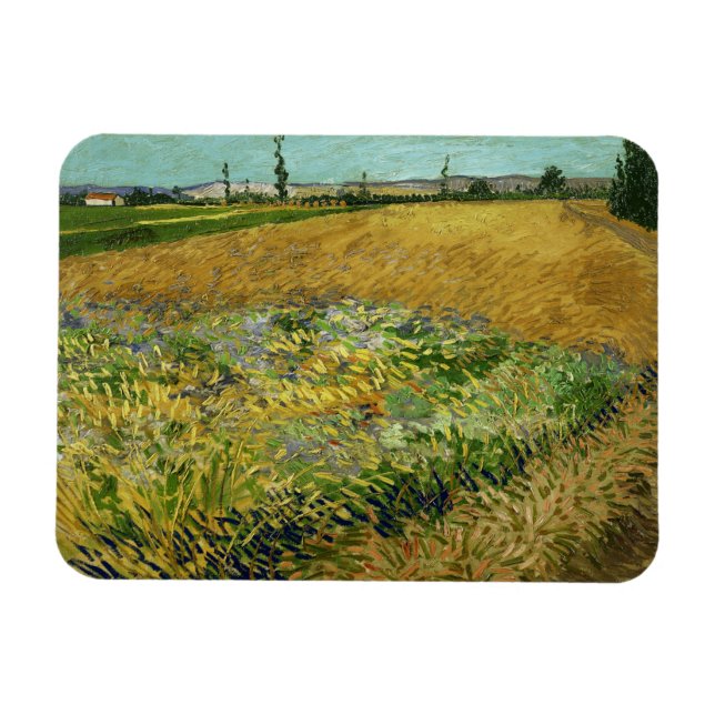 Vincent Van Gogh, Wheatfield, Korenveld Magnet (Horisontell)