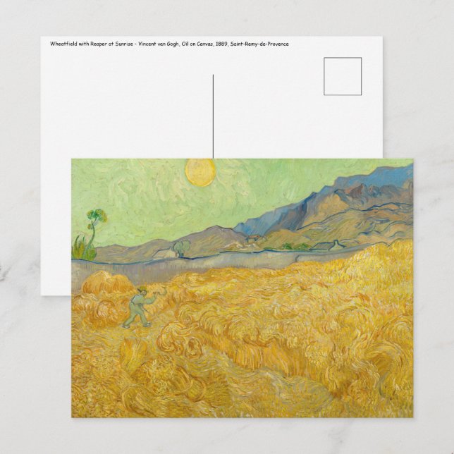 Vincent van Gogh - Wheatfield med en förkortning Vykort (Fram/baksida)