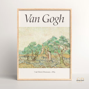 Vincent van Gogh Women Picking Olife Art Skriv ut Poster