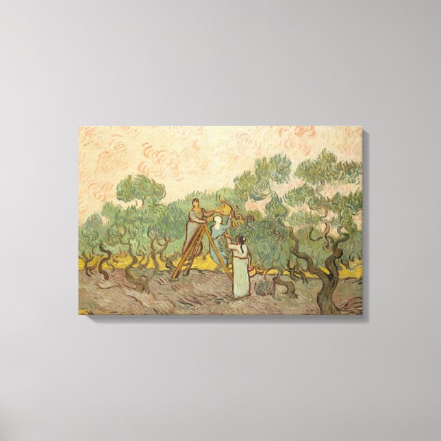 Vincent van Gogh - Women Picking Olife Canvastryck (Framsida)