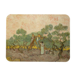 Vincent van Gogh - Women Picking Olife Magnet