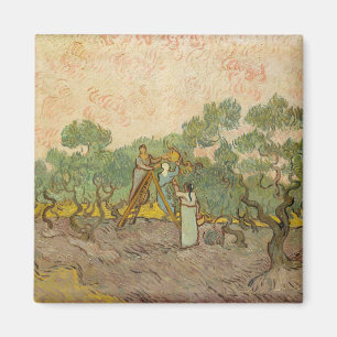 Vincent van Gogh - Women Picking Olife Magnet