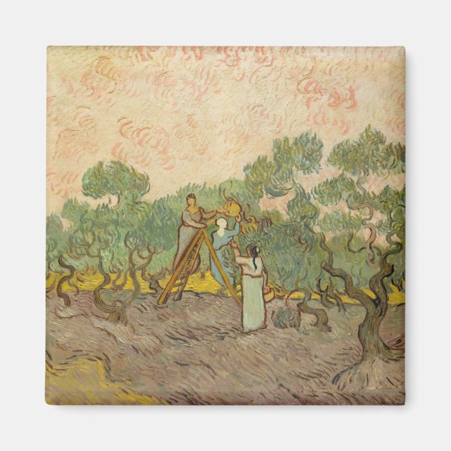 Vincent van Gogh - Women Picking Olife Magnet (Framsidan)