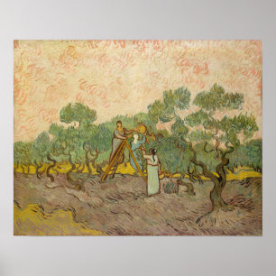 Vincent van Gogh - Women Picking Olife Poster
