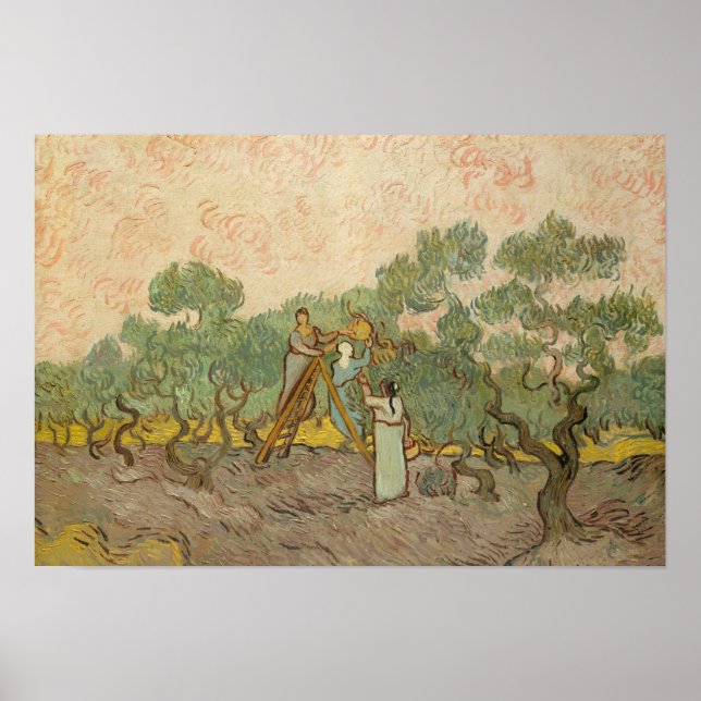 Vincent van Gogh - Women Picking Olife Poster (Framsidan)
