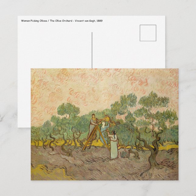 Vincent van Gogh - Women Picking Olife Vykort (Fram/baksida)