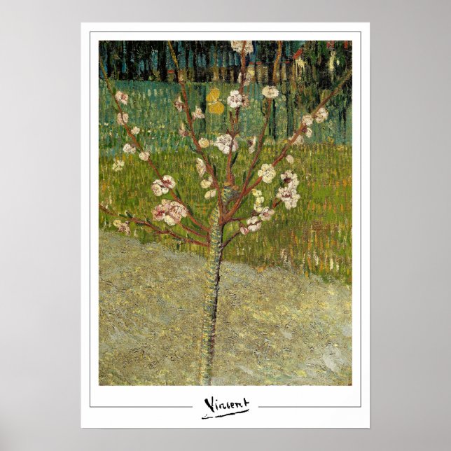 Vincent Van Gogh Zedign Art Poster nr 14-3 (Framsidan)