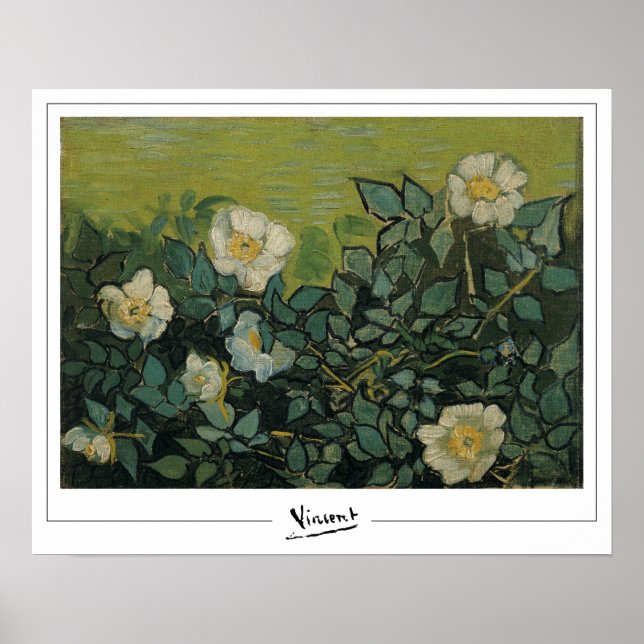 Vincent Van Gogh Zedign Art Poster nr 21 (Framsidan)