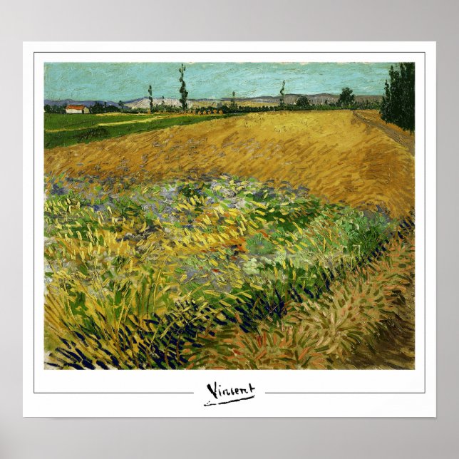 Vincent Van Gogh Zedign Art Poster nr 4 (Framsidan)