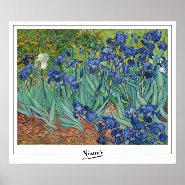 Vincent Van Gogh Zedign Art Poster nr 45-3 (Framsidan)