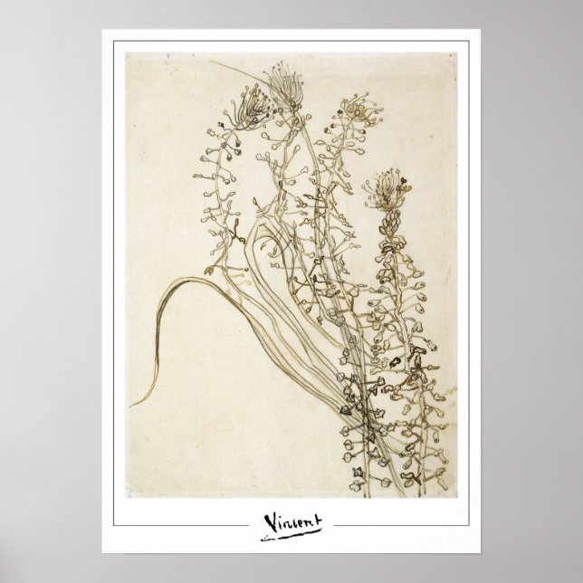 Vincent Van Gogh Zedign Konstaffisch #356-3 Poster (Framsidan)