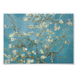 Vincent van Gogh's Almond blommar (1890) Fototryck