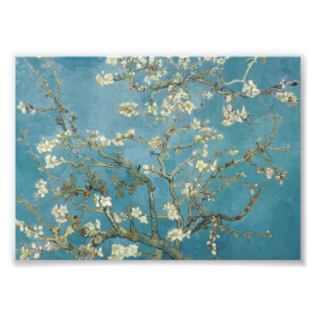 Vincent van Gogh's Almond blommar (1890) Fototryck (Framsidan)