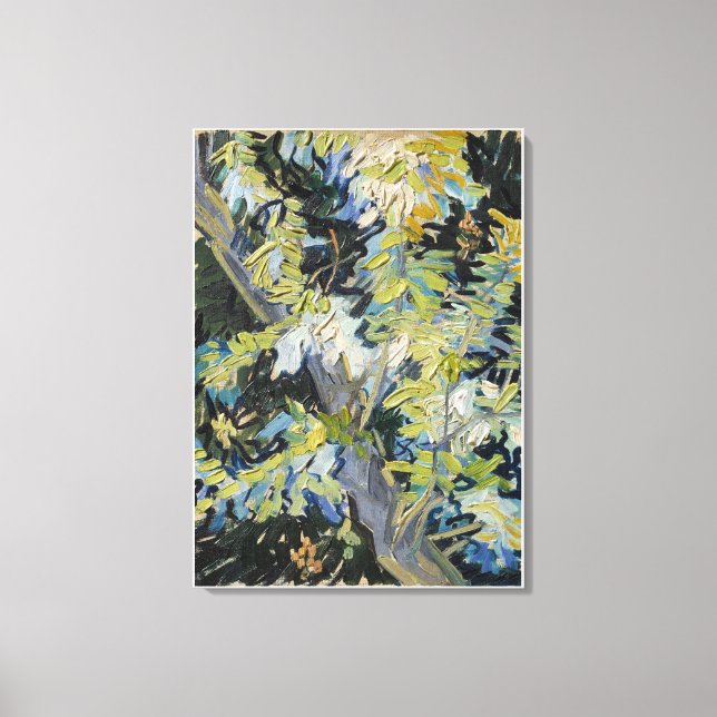 Vincent van Gogh's Blossoming Acacia Grenar (189 Canvastryck (Framsida)