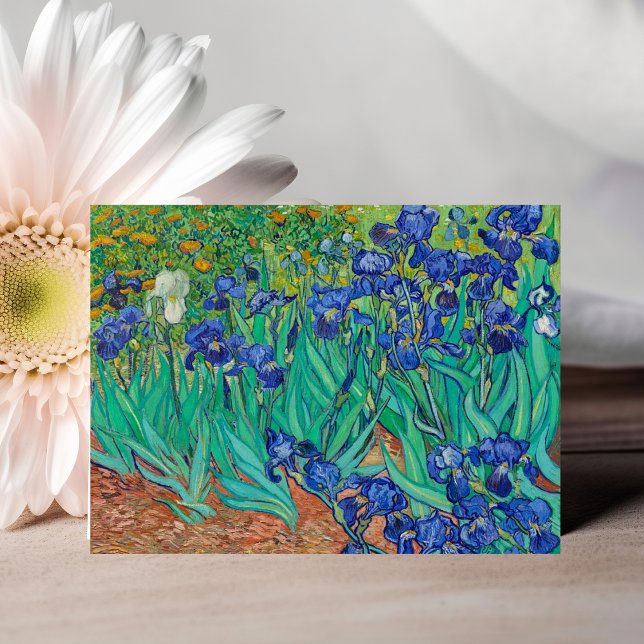 Vincent van Gogh's Irises Postcard Vykort (Vincent van Gogh's Irises Postcard)