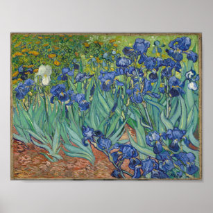 Vincent Van Gogh's Irises. Poster