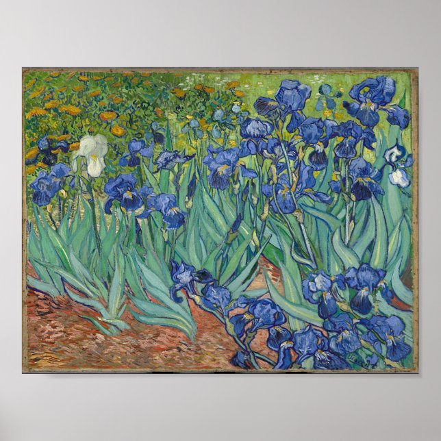 Vincent Van Gogh's Irises. Poster (Framsidan)
