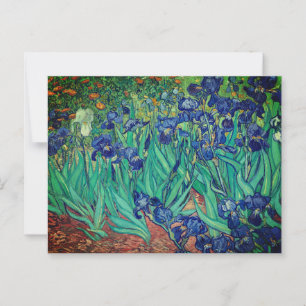 Vincent van Gogh's Irises: Vykort
