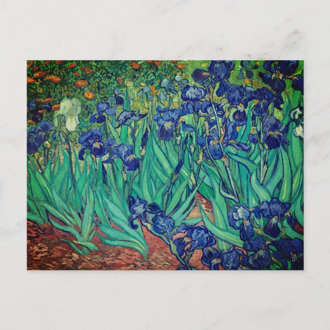 Vincent van Gogh's Irises: Vykort (Framsida)