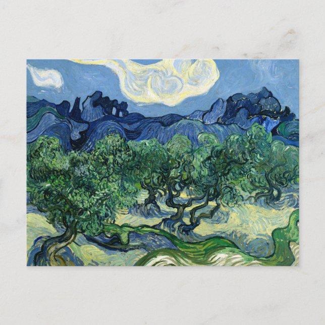 Vincent van Goghs olivträd  Vykort (Framsida)