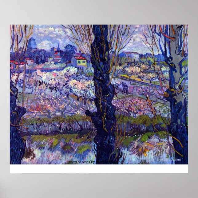 Vincent van Goghs syn på Arles Poster (Framsidan)