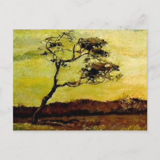 Vind-Beaten Träd (F10) Van Gogh Fine Art Vykort