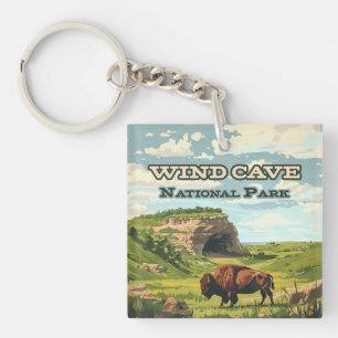 Vind Cave nationalpark Bison South Dakota
