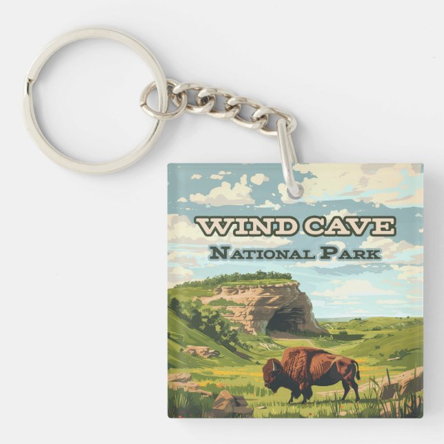Vind Cave nationalpark Bison South Dakota (Framsidan)