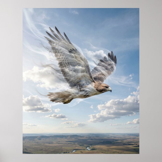 Vind Höken Öppen Horisont Poster (Framsidan)