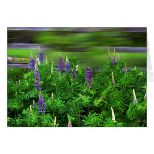 Vind i Lupines Hälsningskort