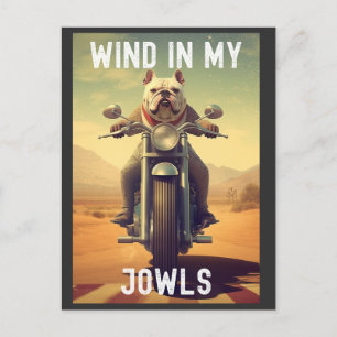 Vind i mina jowgar: En bulldog rider en motorcykel Vykort
