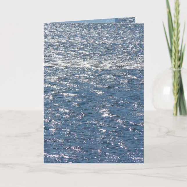 VIND i VATTEN Kort (Framsida)